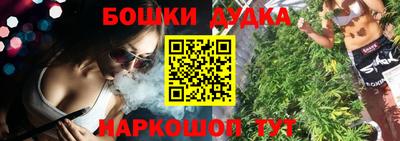 альфа пвп Владикавказ