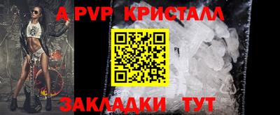 альфа пвп Владикавказ