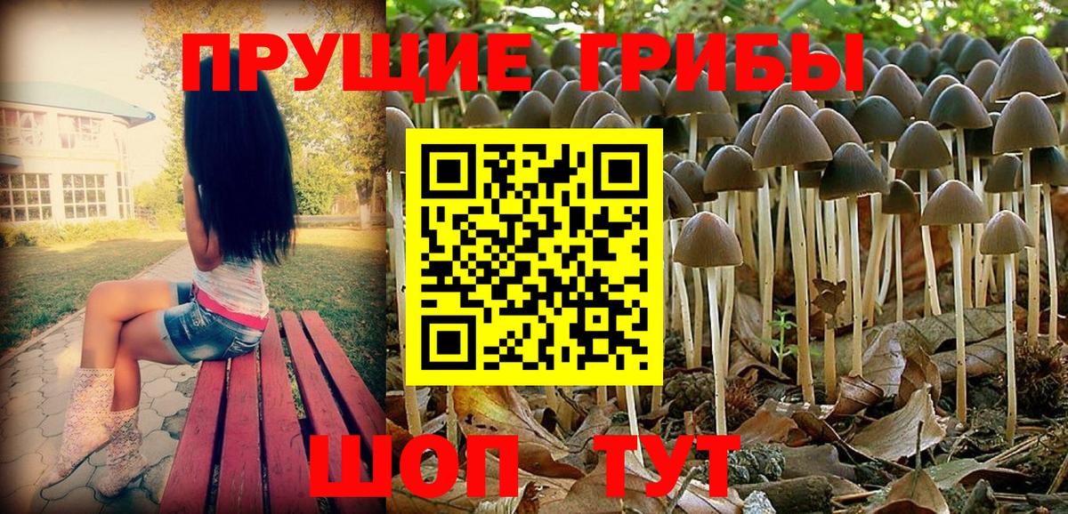 Псилоцибиновые грибы Magic Shrooms Омск